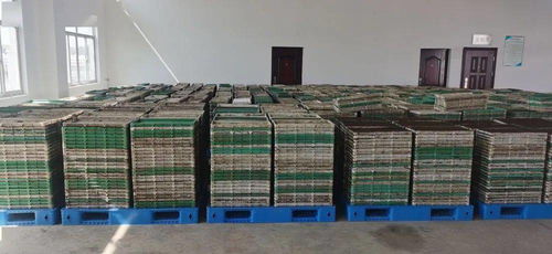 科技賦能農業(yè)新篇章 我市首座工廠化水稻集中育秧中心落成啟用